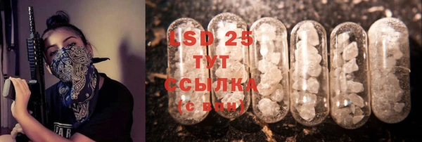гашик Алексеевка