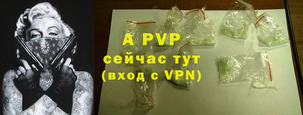тгк Алексин