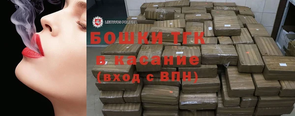 гашик Алексеевка