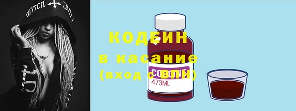 гашик Алексеевка
