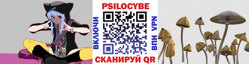 Галлюциногенные грибы мухоморы что такое наркотик Сельцо